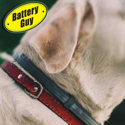 Dog Collar Batteries