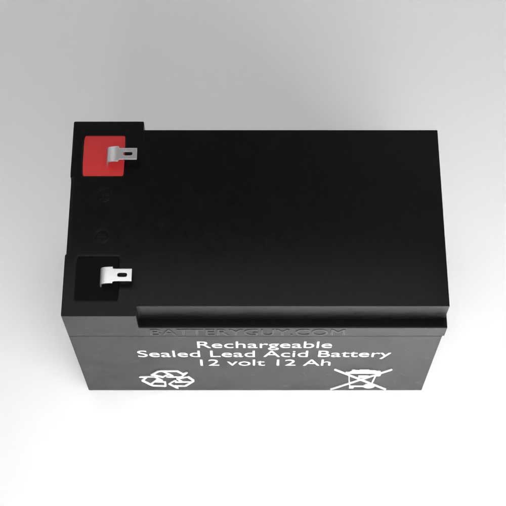 Top View  - Rascal EM115 replacement battery pack (rechargeable)