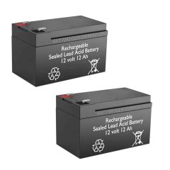 12v 12Ah Sealed Lead Acid Batteries ~ BG-12120F2 (Qty of 2)