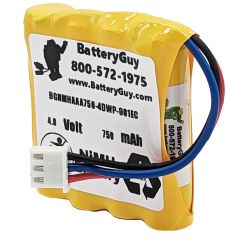 BGNMHAAA750-4DWP-901EC 4.8V 750mAh Remote Control NiMH Battery
