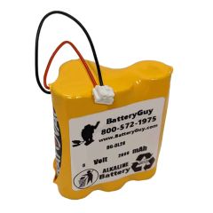 Alkaline Door Lock Battery, 6v 2800mAh | BG-DL28