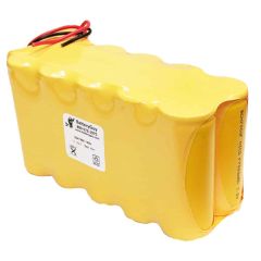 Chloride 100-030-025 Replacement Battery