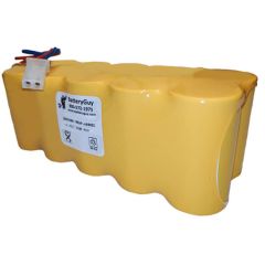 Nickel Cadmium Battery 12v 5500mah | BGN5500-10EWP-A800EC (Rechargeable)